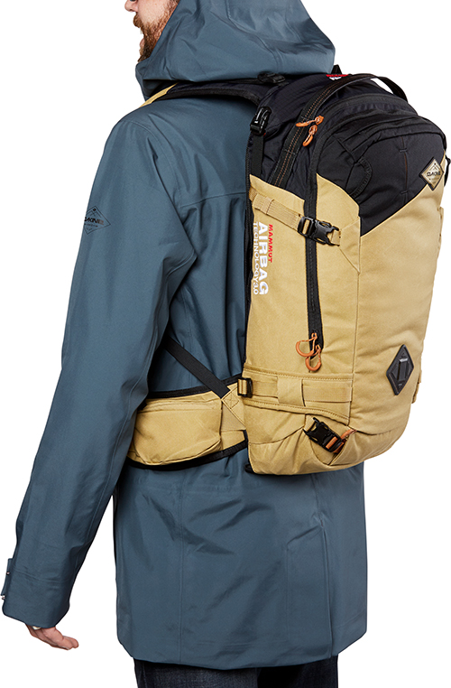 Dakine team poacher sales