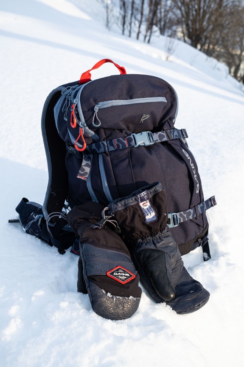 Купить сноубордический рюкзак DAKINE TEAM MISSION PRO 32L LOUIF PARADIS ...